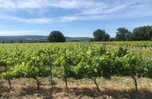 Tulette Villa | Villa de l'Agapé - Drome provencale - 7 ch - 10 à 24 personnes - 350m2