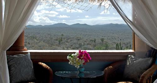 Vinorama Bed & Breakfast | Villa del Faro