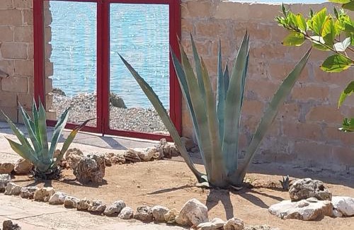 Granelli Villa | Villa delle palme