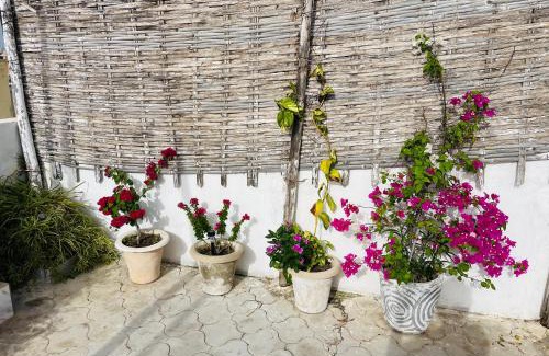 Pointe des Almadies Apartment | Villa diam la paix