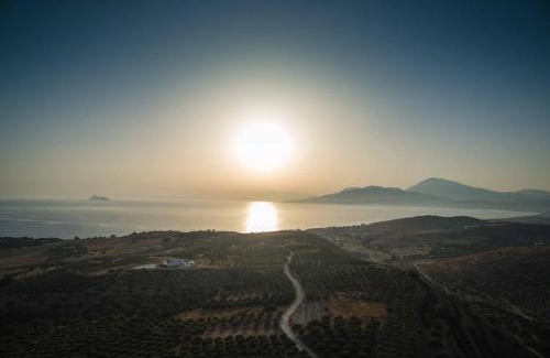 Pitsidia Villa | Villa Diana