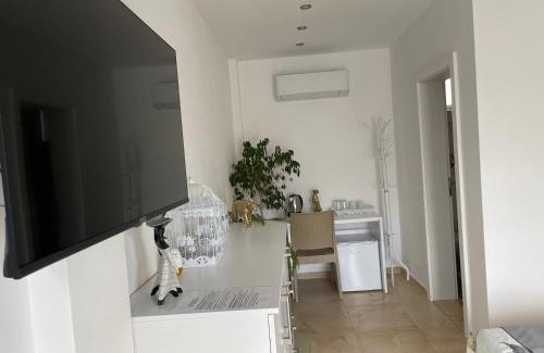 Ohrid Apartment | Villa Dimo Topal