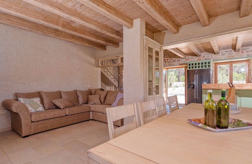 Stari Grad Villa | Villa Divina Palace with Swimming pool