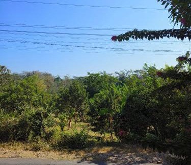 Pati House | Villa East Muria
