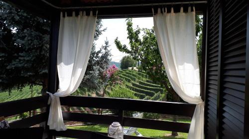 Barbaresco House | Villa Edy Barbaresco con piscina per gruppi e famiglie