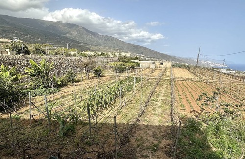 Guimar Villa | Villa El Ancon