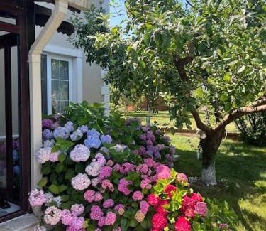 Mollafeneri Villa | Villa Elegance