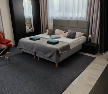 Witomino House | Villa Eleven