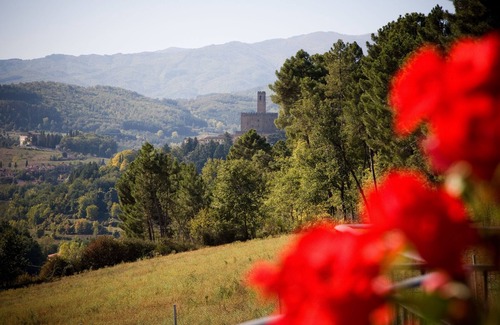 Poppi Villa | VILLA ELISABETTA with PRIVATE POOL