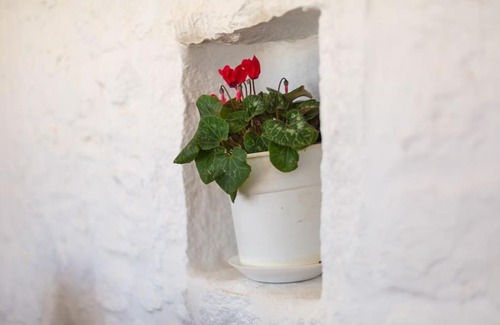 Paros House | Villa Elliah