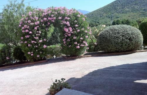 Oletta Villa | Villa ELOFRED