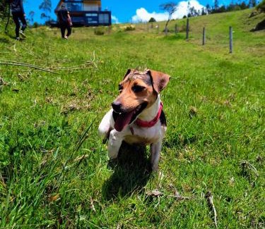 Tuta Ski Chalet | Villa Encanto