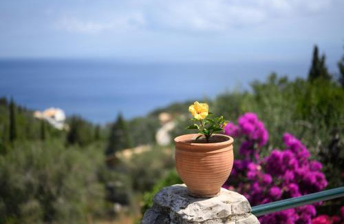 Ieromonachos Apartment | Villa Estia