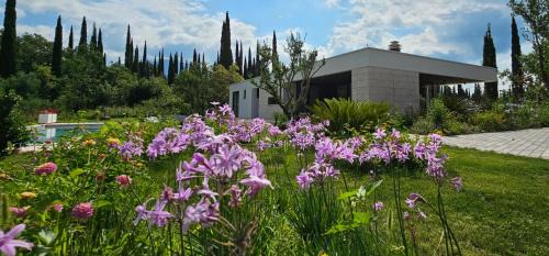 Cilipi Villa | Villa Eta