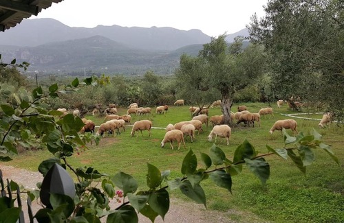 Arfara House | Villa Evelina