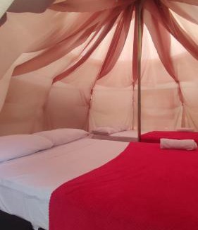 Palomino Bed & Breakfast | Villa Fátima Ecohostal