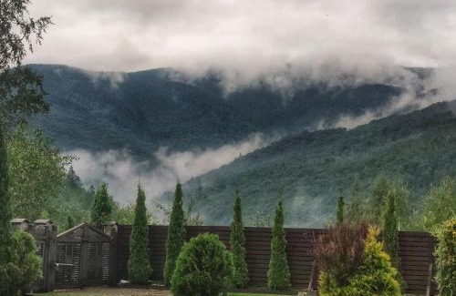 Yaremche Villa | Villa Familia