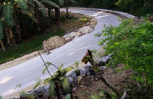 Loboc Bed & Breakfast | Villa Feliza
