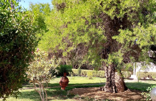 Ida Ougourd Villa | Villa Fleurie, beautiful garden and pool!