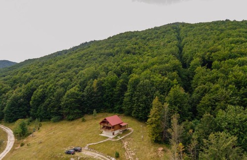 Donja Brezna House | Villa Forestside