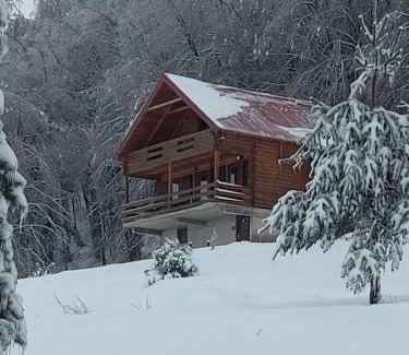 Donja Brezna House | Villa Forestside