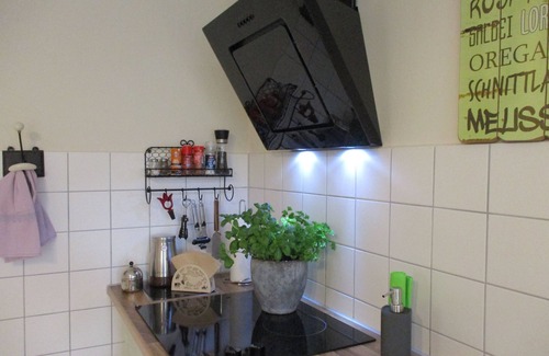 Leubnitz-Neuostra Apartment | * VILLA FREIA Dresden * Exceptional apartment in a city villa