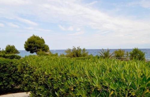 Susica Villa | Villa Garmina