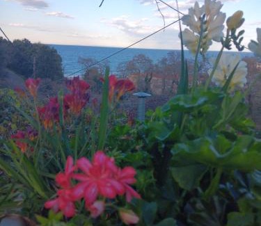 Agia Apartment | Villa Gialos Ηλέκτρα