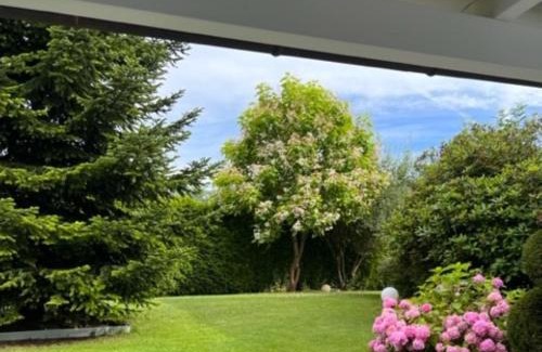 Albbruck Apartment | Villa GiNa Apartement