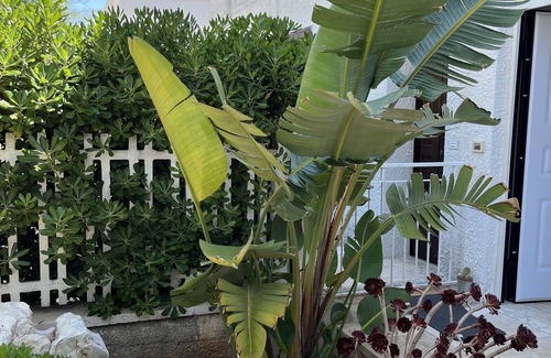 Savelletri Apartment | Villa Giorgia, with large garden 50 meters from the beautiful sea of Savelletri.