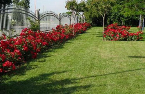 Quartiere Cervese Nord Bed & Breakfast | Villa Giusy B&B
