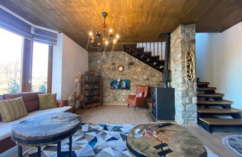 Brezovice House | Villa Gjelbër