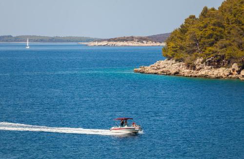 Vela Luka Villa | Villa Goga