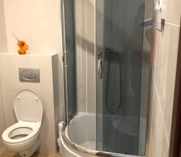 Jasienica Apartment | Villa Greta&Beskidy