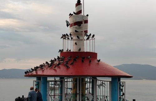 Chapala Centro Hotel | Villa Guadalupe