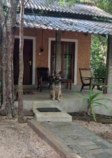 Habarana Villa | Villa Habarana