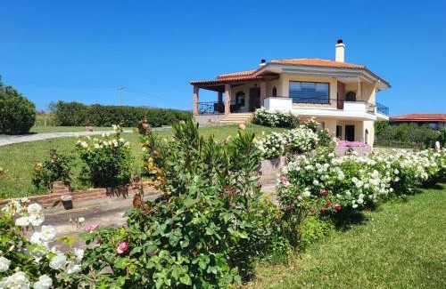 Alexandroupoli Villa | Villa Harry's