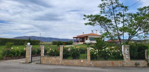 Alexandroupoli Villa | Villa Harry's