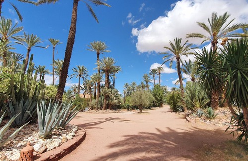 Palmeraie Villa | Villa Haut de Gamme Dans la Palmeraie. Idéale Pour Groupe