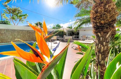 San Vicente del Raspeig Villa | Villa Haygón Private heated pool, bbq & sauna