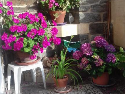 Haie Vigne Bed & Breakfast | Villa Helianthe