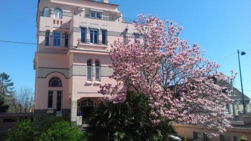 Haie Vigne Bed & Breakfast | Villa Helianthe