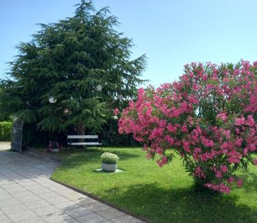 Kastelir-Labinci Villa | Villa Henne