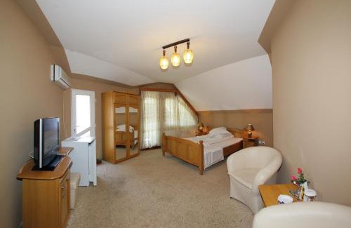 Baile Herculane House | Villa Hera