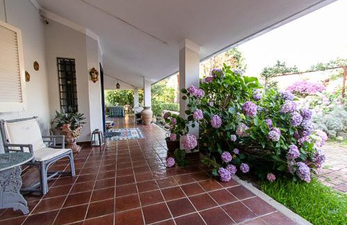 San Ferdinando Bed & Breakfast | Villa Hermes