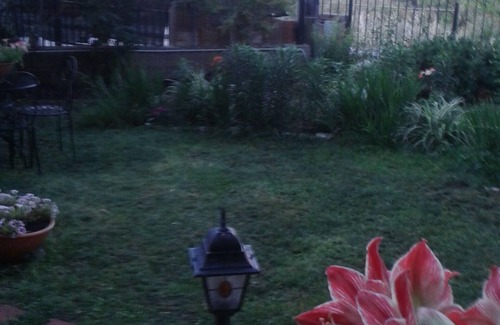 Girasole House | Villa/house with garden - Girasole - 6 places - Eastern coast of Sardinia