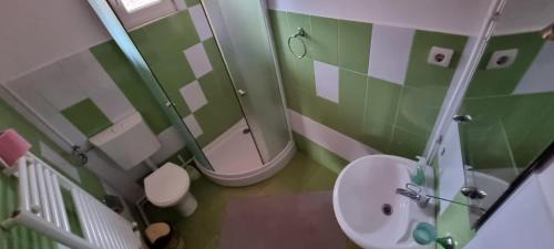 Ceahlau House | Villa Ileana