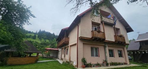 Ceahlau House | Villa Ileana