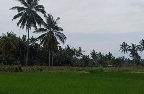 Kecamatan Pringgasela House | Villa Ilham Ketembong