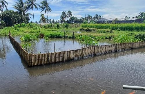 Kecamatan Pringgasela House | Villa Ilham Ketembong